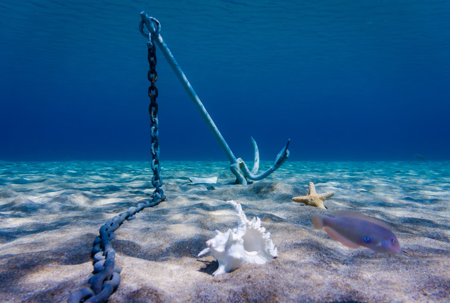 How Merge Mining and Anchored Blockchain Projects Capitalize on Bitcoin's Security Model