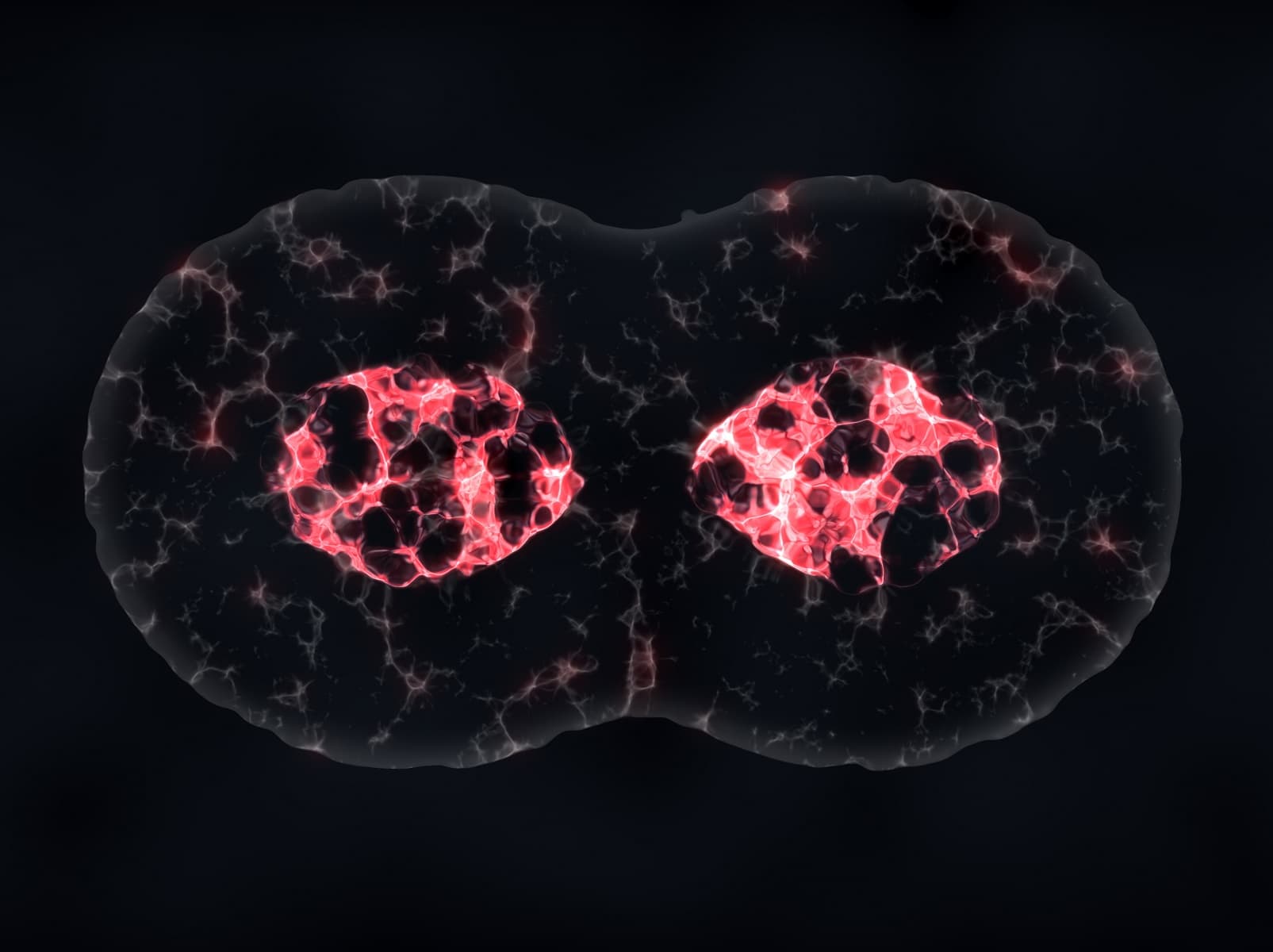 Android Tool Lets You Check Crypto Payment Apps for Double-Spends