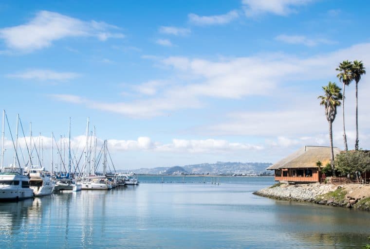 Cred Merchant Solutions to Help Unbanked Business Sectors