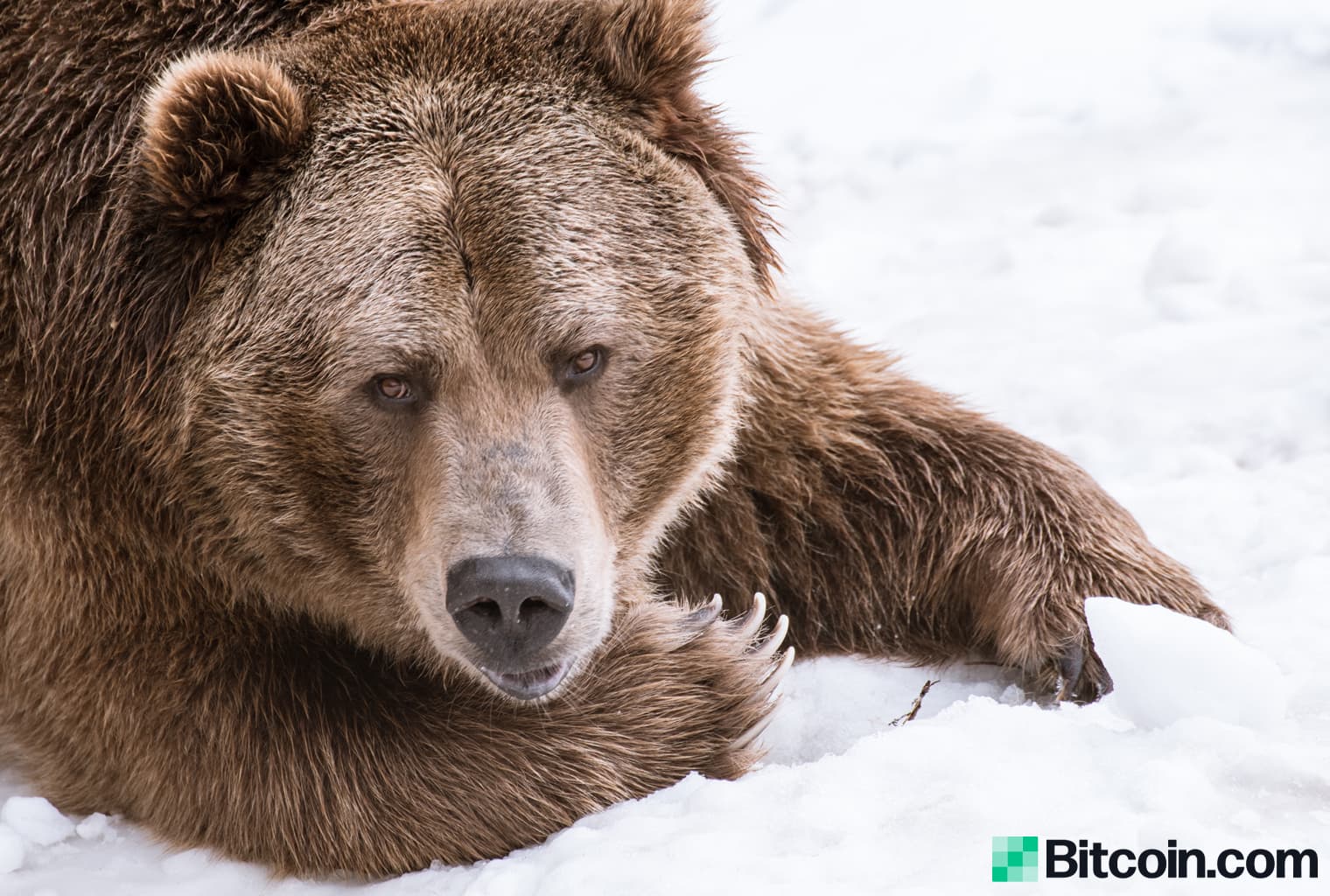 How Crypto Winters of Bitcoin's Past Compare to Today