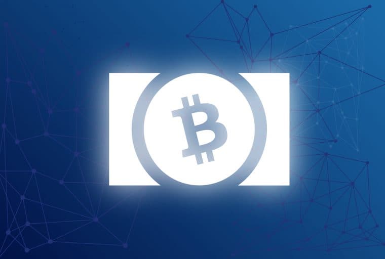 BCH Is An A-Class Crypto for Auditability