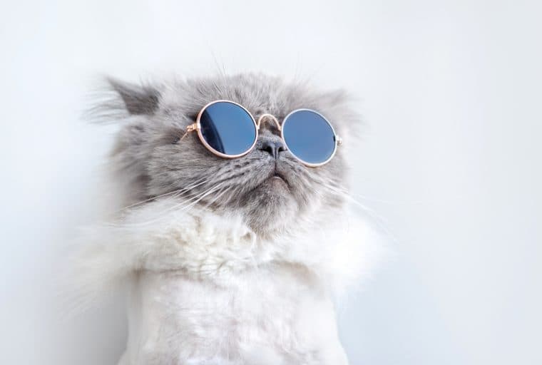 The Coolest Jobs in Crypto