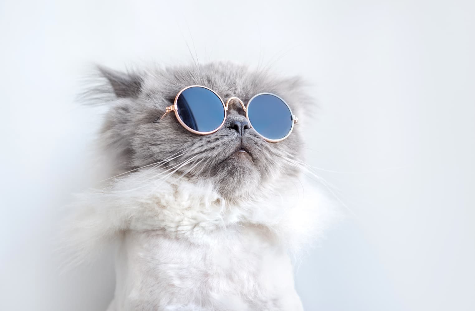 The Coolest Jobs in Crypto