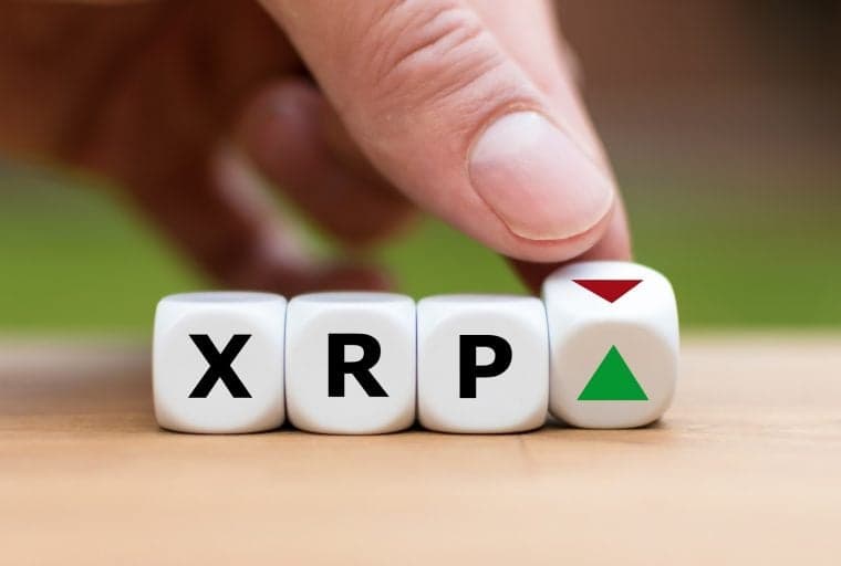 Lawsuit Against Ripple May Decide the Fate of XRP but Regulators Have the Final Say