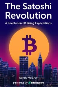 the satoshi revolution