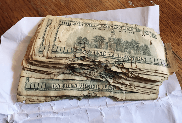 Cash Crisis: National Currencies Plunge in the Wake of Coronavirus