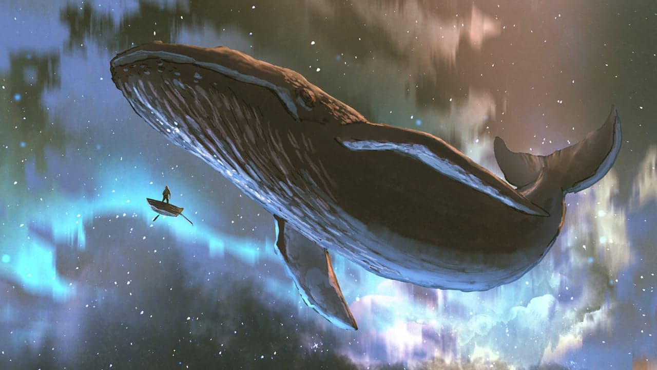 Fusing With Whales: Cashfusion Privacy Mixing Expands Allowing 10x Bigger Coins