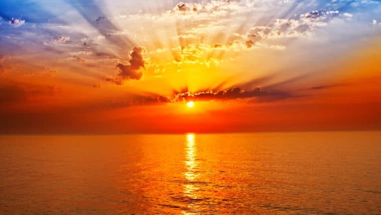 The Genesis of BCH Tokenization: Over 10,000 SLP Tokens Built on Bitcoin Cash