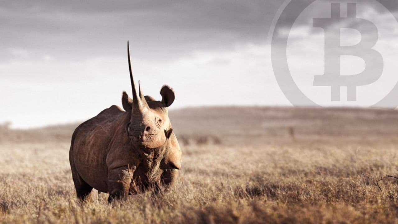 MoAfrika - Africa’s Biggest Online Tour Operator now Accepts Bitcoin