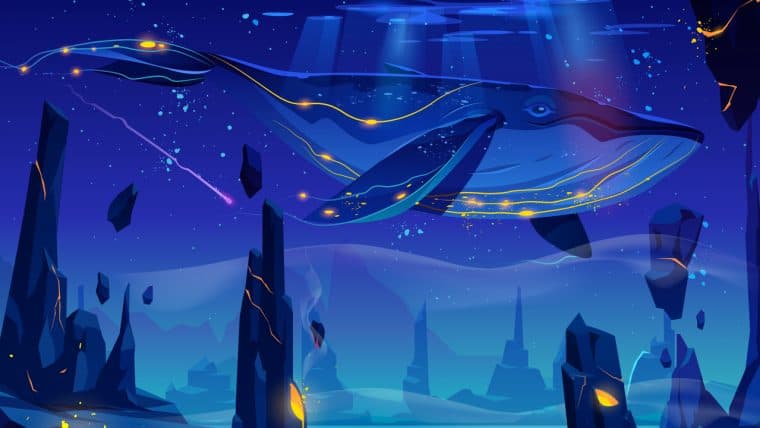 Onchain Data Shows Rising Bitcoin Whale Index Surpassing 4-Year High