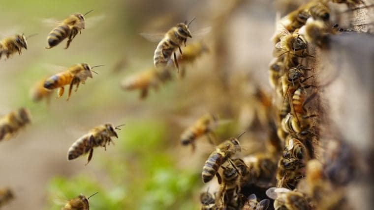 CME's Bitcoin Futures Rise Suggests Institutional Investors Are Starting to Swarm Toward Crypto