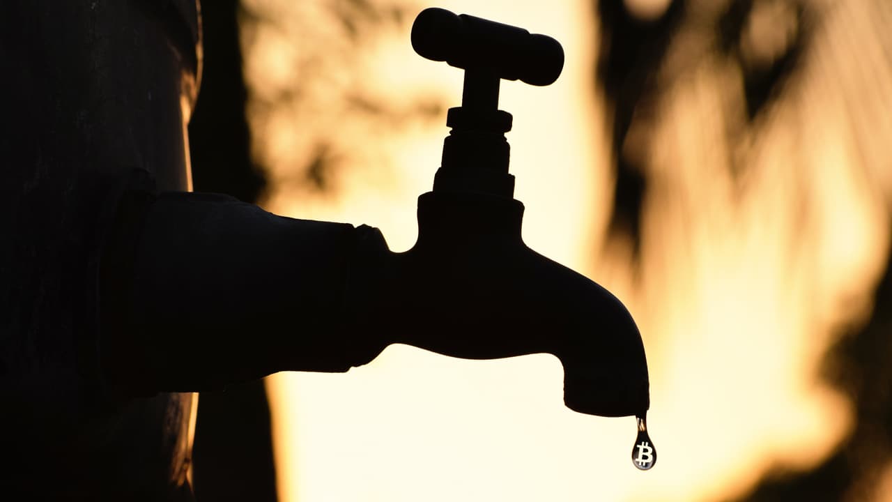 Visual Interpretation of Bitcoin's Supply Shows the Digital Asset's Unique Scarcity