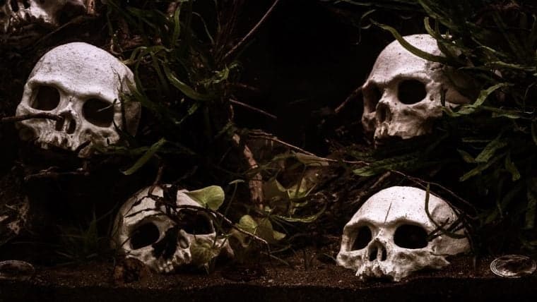 Cryptowisser: 75 Crypto Exchanges Dead in 2020 – More Will Follow