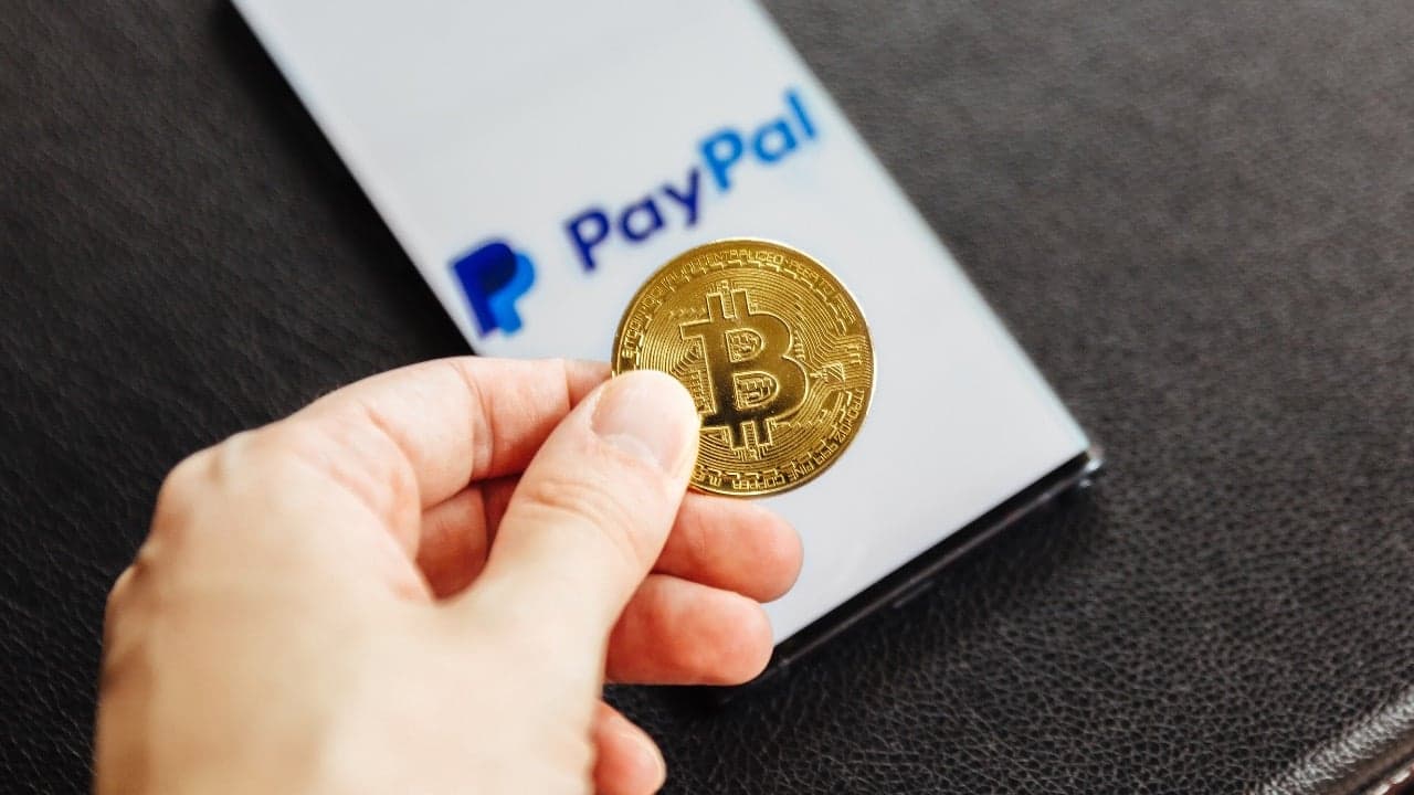 Paypal's Stock Soars to All Time High as Demand for BTC on the Platform Now More Than Supply of New Coins