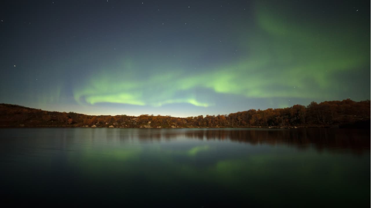 Record-Low Electricity Prices in Sweden Make It 'a Lucrative Place' to Mine Bitcoin, Says Report