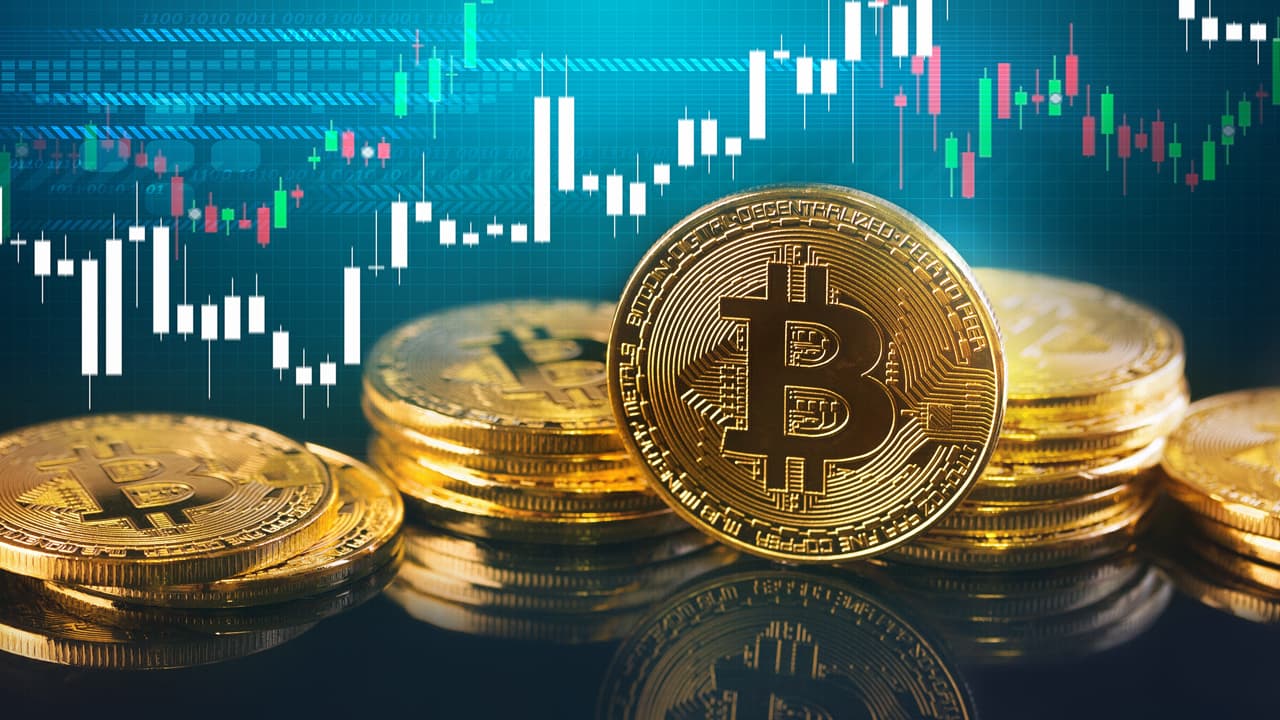 Ark Investment Study Suggests BTC Value Will Rise by $40,000 if All S&P 500 Companies 'Allocate 1% of Their Cash to Bitcoin'