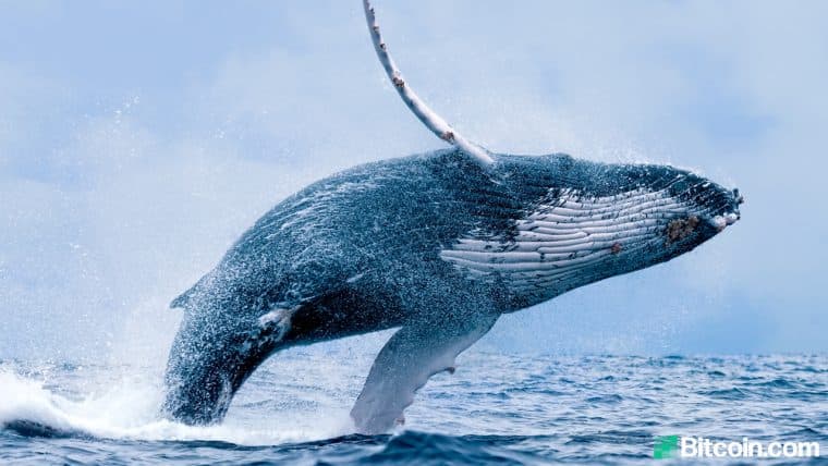 Bitcoin Dump Saw Exchange Inflow Jump Over 1,000%, Whale Address Sells 2,700 Coins, F2pool Hawks 3,633 BTC