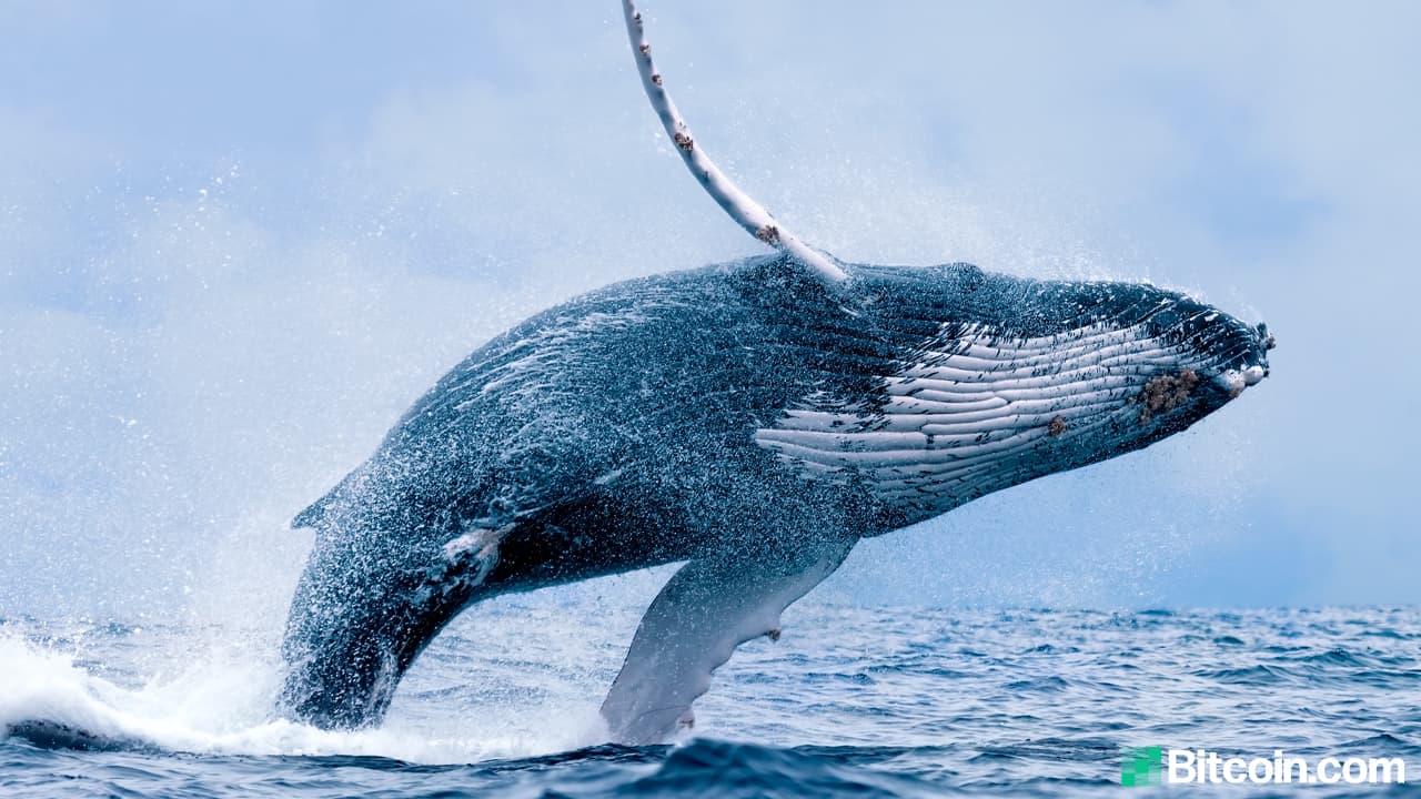 Bitcoin Dump Saw Exchange Inflow Jump Over 1,000%, Whale Address Sells 2,700 Coins, F2pool Hawks 3,633 BTC