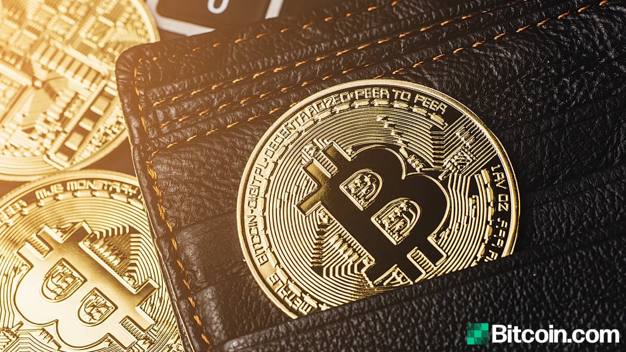 Microstrategy Scoops up 262 Bitcoin, Treasury Holds 91K BTC at an Average of $24K per Coin