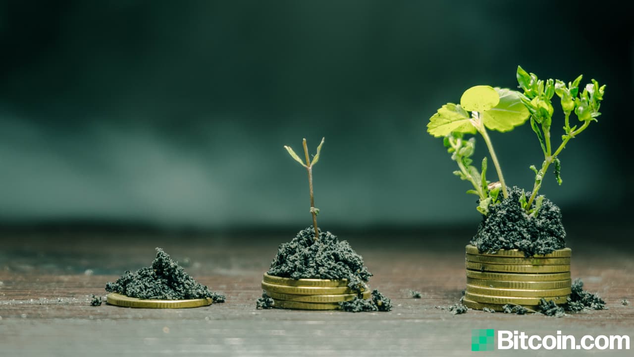 Blockchain.com Raises $300 Million, Firm's Post-Money Valuation Now $5.2 Billion