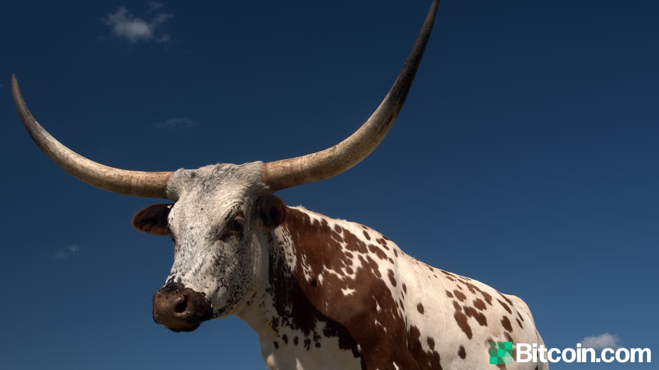 Texas Bitcoin Mining Swells- Riot Purchases Mining Site for $650M, Blockcap Establishes HQ in Austin