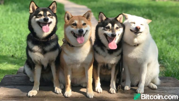 Coinbase Pro Dogecoin Deposits Now Open — Trading Begins on June 3