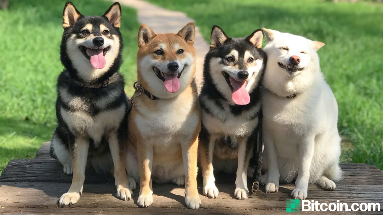 Coinbase Pro Dogecoin Deposits Now Open — Trading Begins on June 3