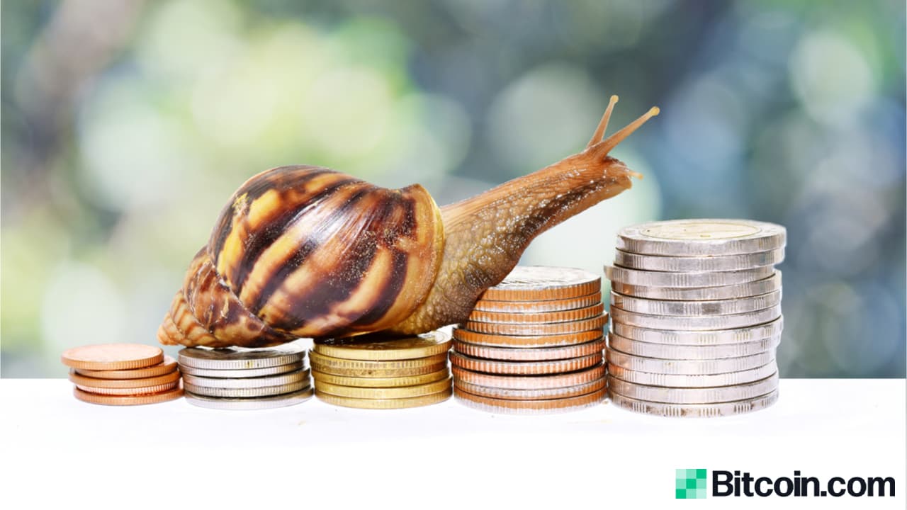 As Crypto Interest Winds Down Bitcoin's Daily Transaction Rate Plummets to Two-Year Lows