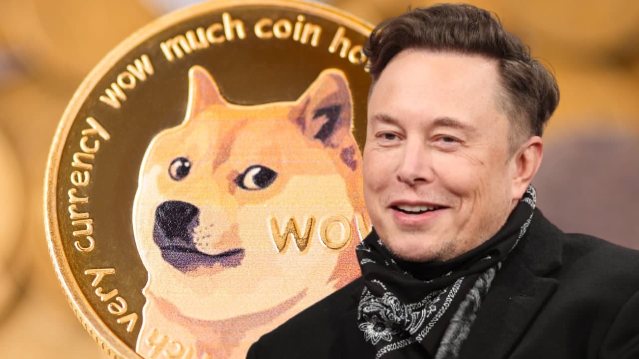 Elon Musk Calls Binance's Dogecoin Problem 'Shady' — Says He's Raising the Issue on Behalf of Other DOGE Holders