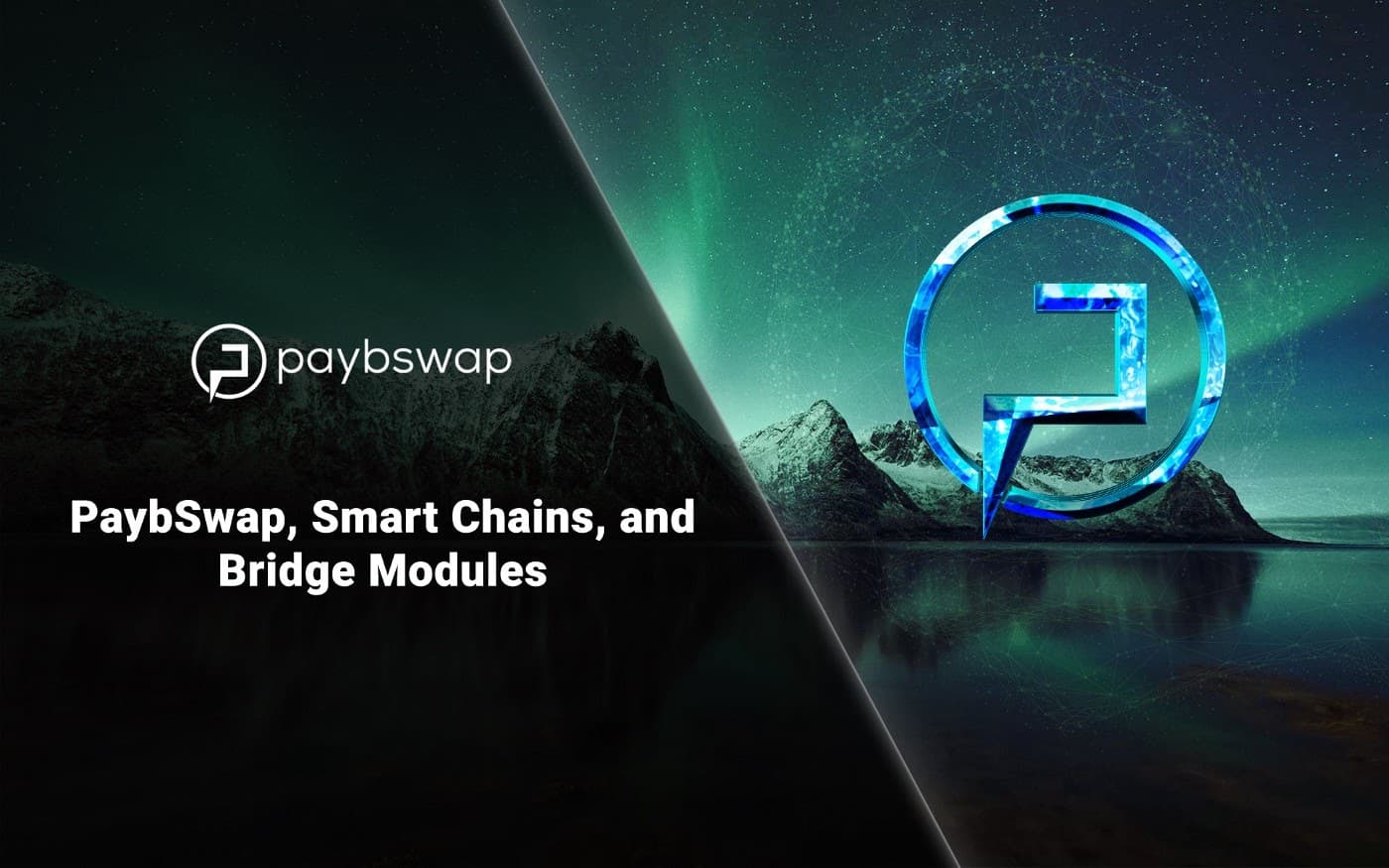 PaybSwap, an Interchain Smart Economy