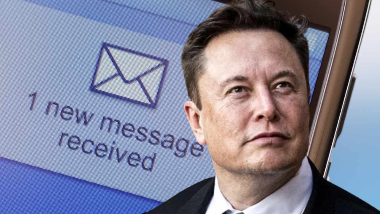 Elon Musk Confirms Bankman-Fried Owns 0% of Twitter â Dismisses Reports Claiming a $100M Stake