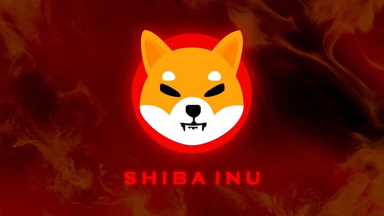 Biggest Movers: SHIB, LTC Rebound From Recent Losses on Saturday