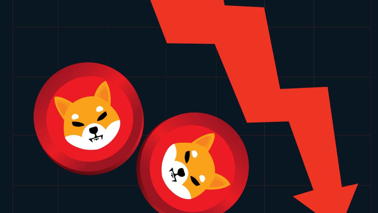 Biggest Movers: DOGE, SHIB Fall to Lowest Levels Since January