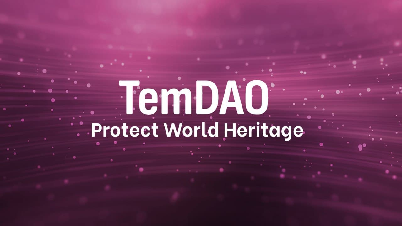 TemDAO World Heritage Project Helps the Cultural Sector through Democracy-Fueled Donations