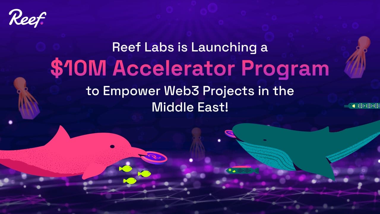 Reef Labs Is Launching a $10M Accelerator Program to Empower Web3 Projects in the Middle East
