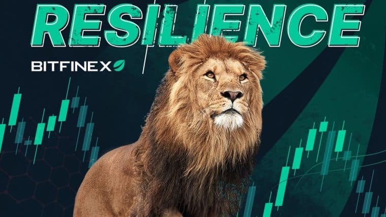 Bitfinex's Resilience: Tracing its Transformation Throughout Crypto History