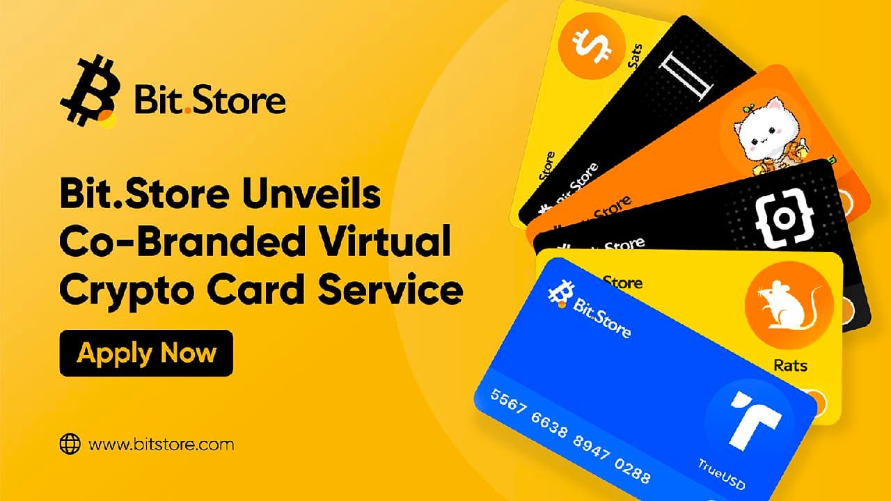 Bit.Store Unveils Comprehensive B2B Offerings, Empowering Crypto Projects with Custom Solutions