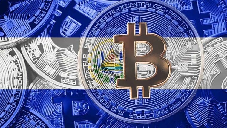 Ark-Chefin Cathie Wood spricht mit dem Präsidenten von El Salvador über Bitcoin – lobt seine Vision für BTC-Hub