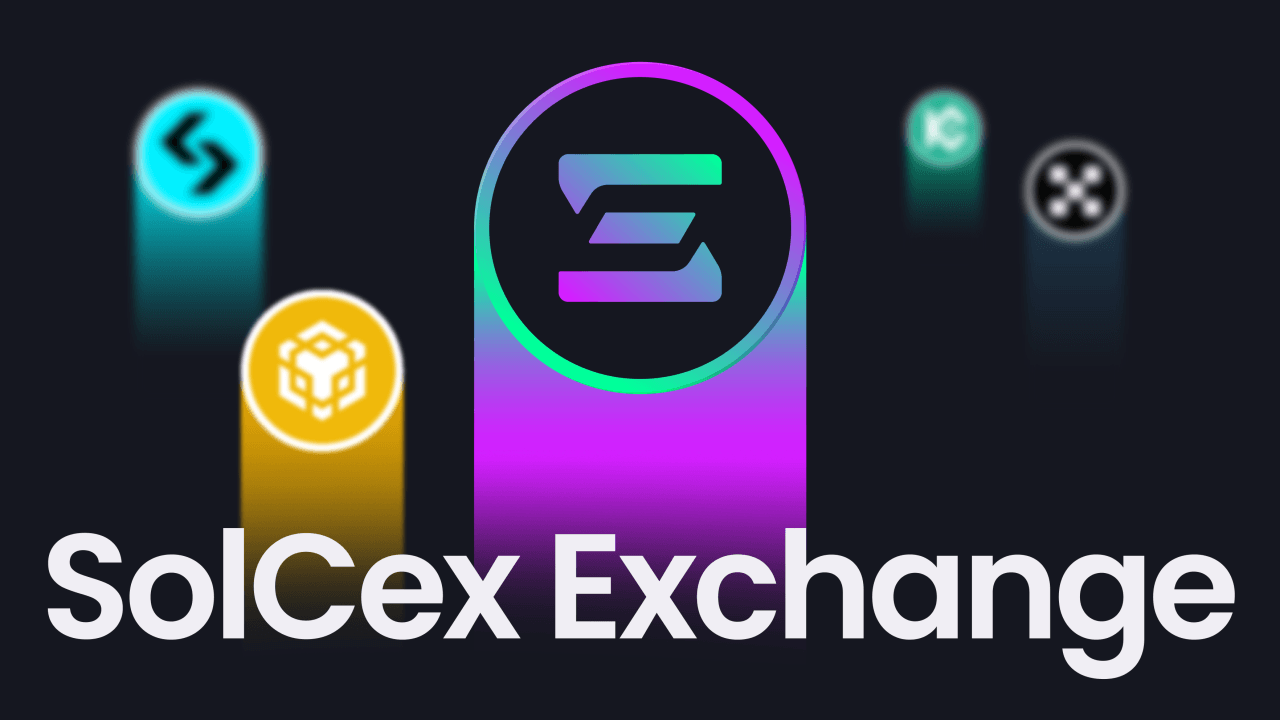 Solcex Soars Fueled by the Latest Features, Partnerships, and Expected Future Innovations