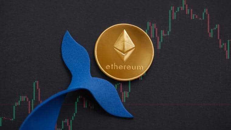 104 Balene Detengono il 57,35% di Ethereum: Analisi di Santiment
