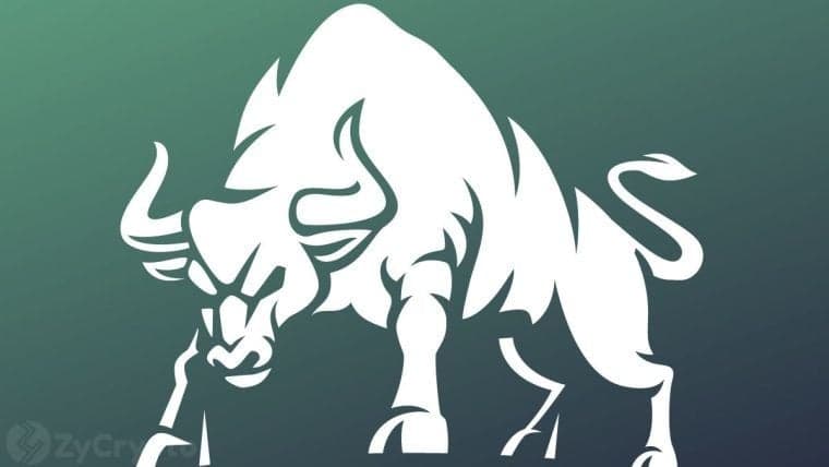 Rapport sur le prix de XRP : Le prochain super rallye de XRP est-il sur le point de commencer ?