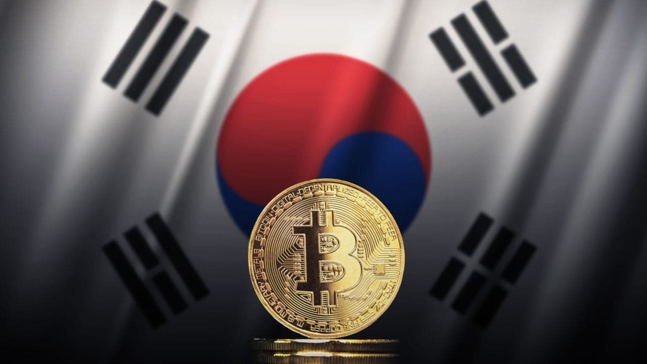 Despread: 2024년에 한국 암호화폐 투자자의 70%가 BTC, XRP, ETH에 힘입어 수익을 얻었다.