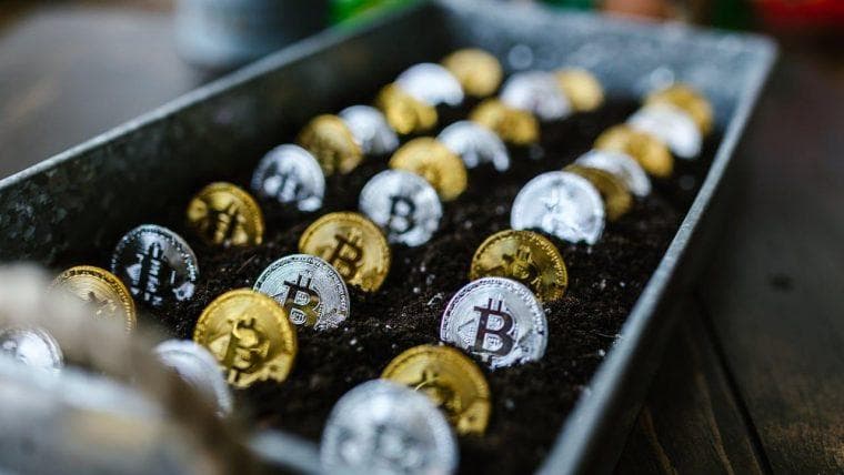 Le Facteur de Sécurité : Bitcoin au Casino Ignition pour les Jeux et Paris en Ligne