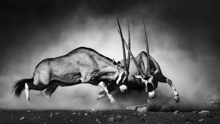 Искры летят на первой в истории круглом столе SEC по криптовалютам