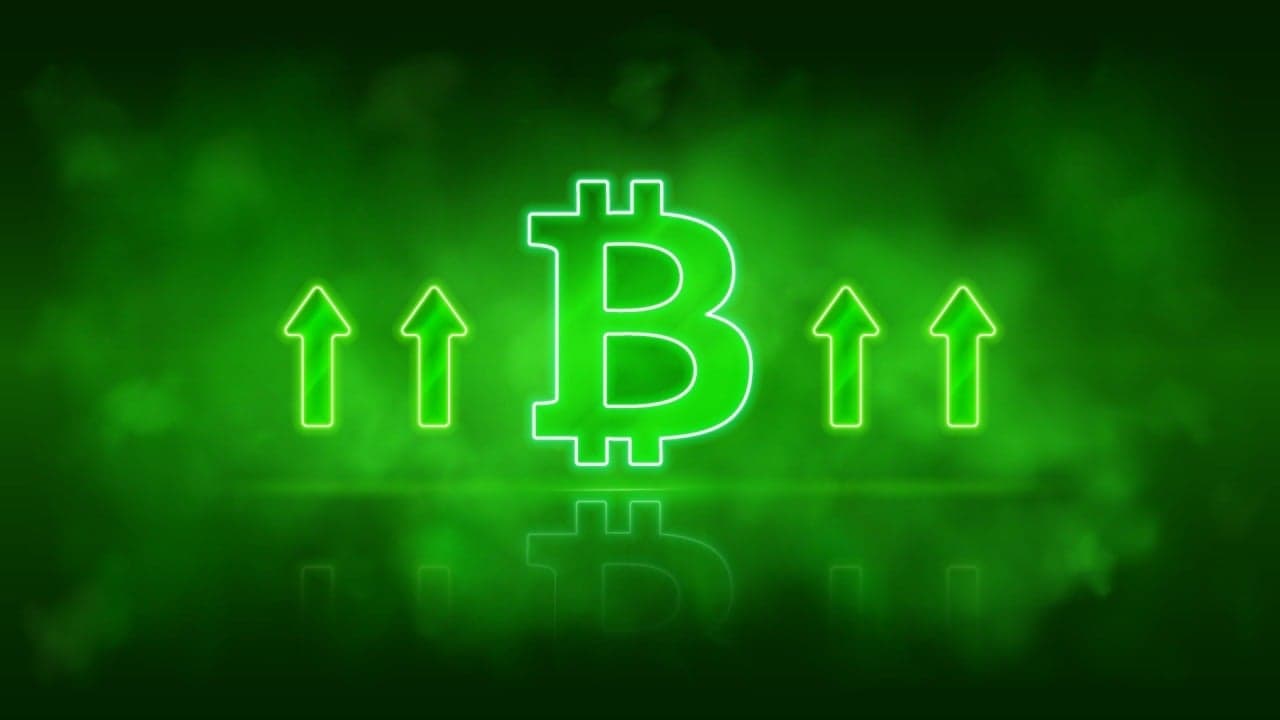 Bitcoin ETFs Rally With $221 Million Inflow as Ether ETFs See Heavy Sell-Off