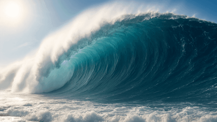 Tsunami de Aranceles: El Economista Steve Hanke Predice Tiempos Difíciles para la Economía de EE.UU.