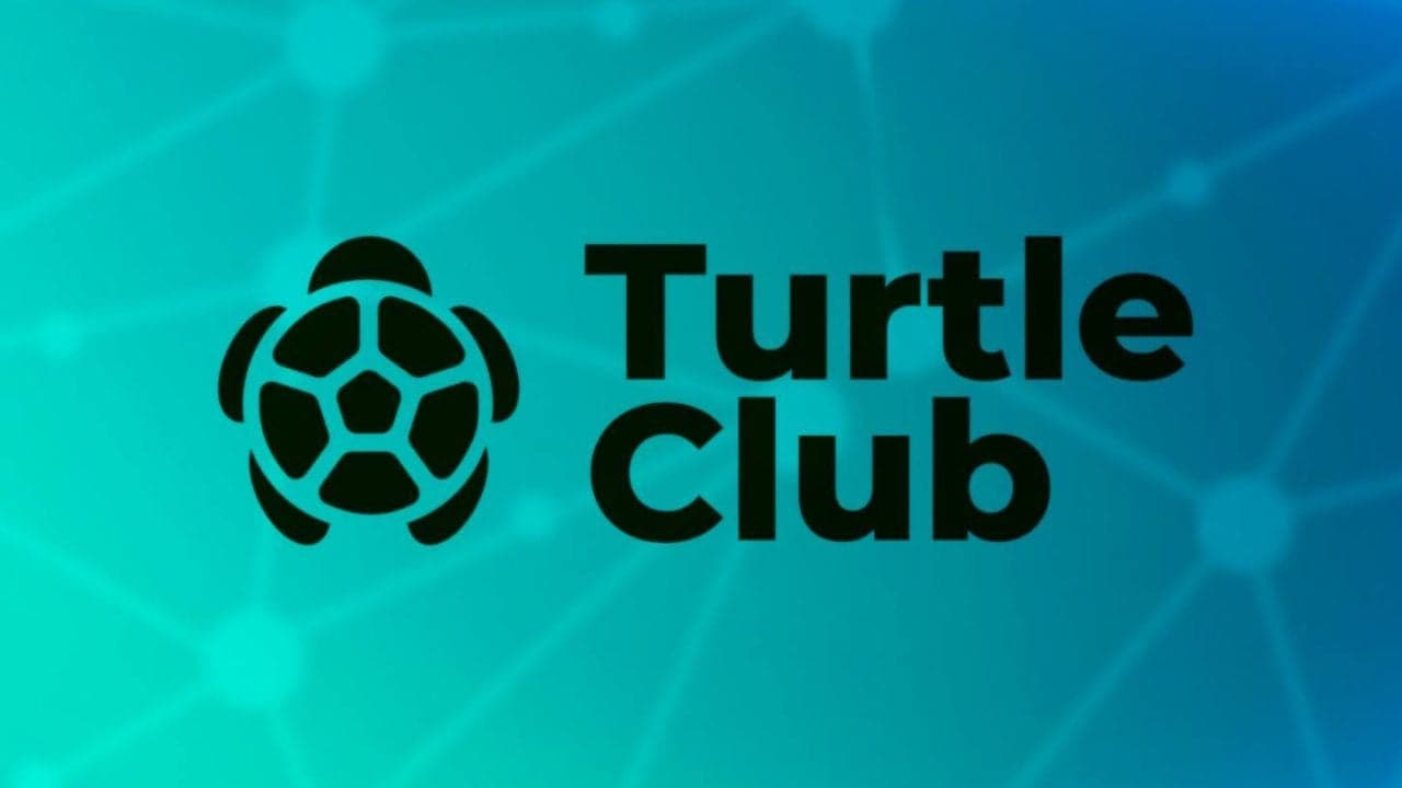 Turtle Club筹集6.2百万美元,以推进链上流动性分配协议