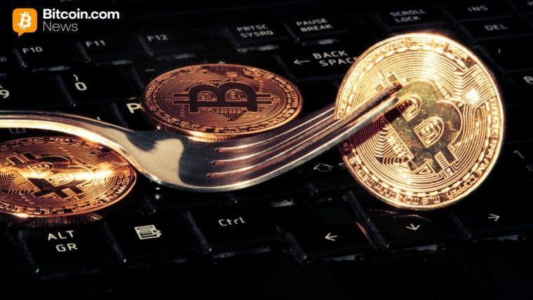 Knots Developer Luke Dashjr envisage un hard fork pour 'sauver Bitcoin'