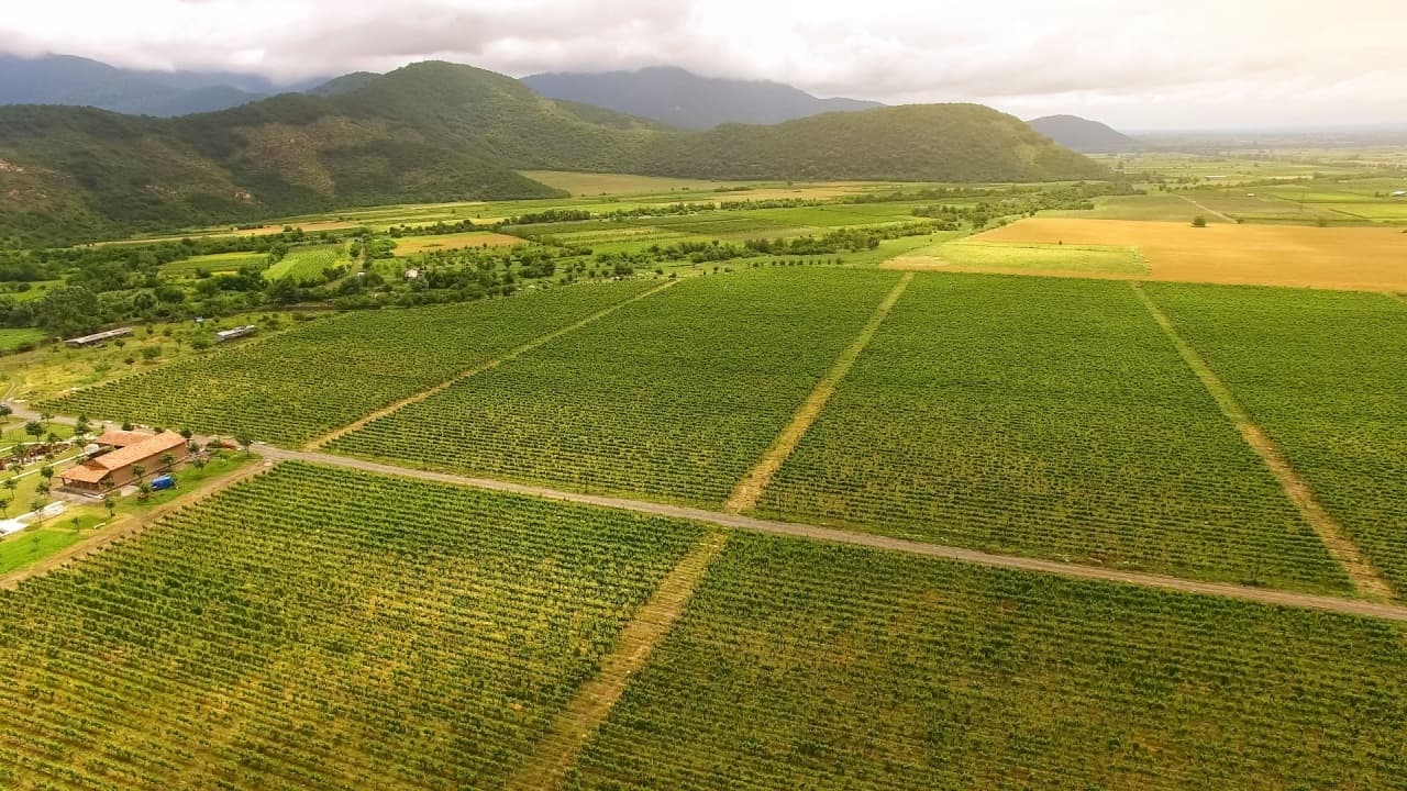 জর্জিয়া টোকেনাইজড বাস্তব-বিশ্ব সম্পদ (RWA) কৃষিকে অগ্রসর করতে $100M অংশীদারিত্ব নিশ্চিত করেছে।