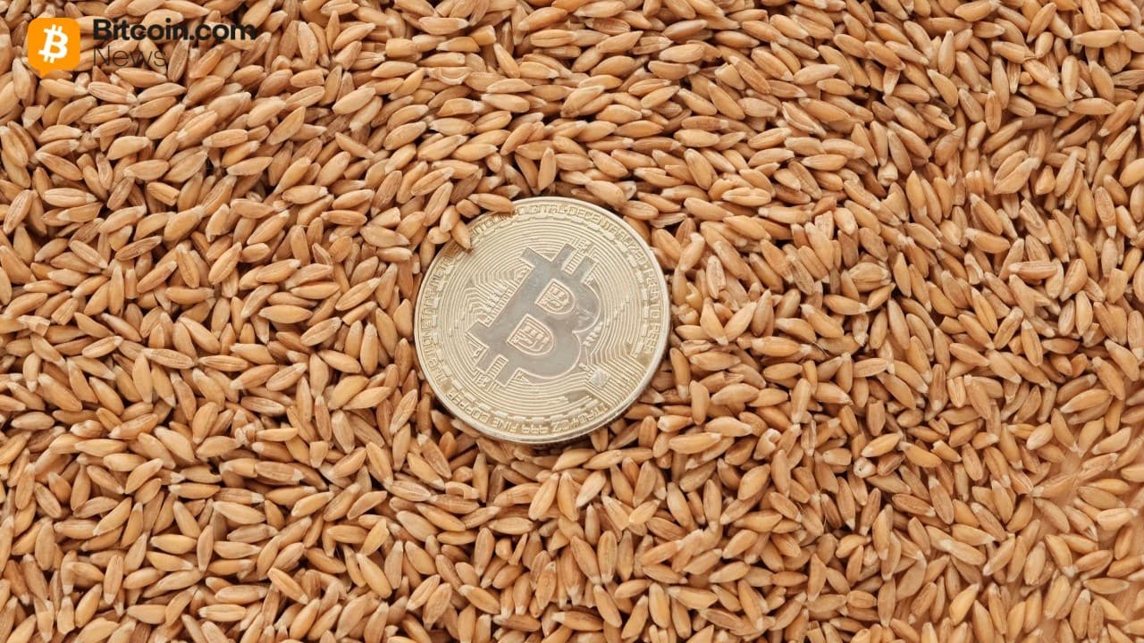 DDC Enterprise sécurise 124 millions de dollars pour accélérer l'expansion de la trésorerie Bitcoin